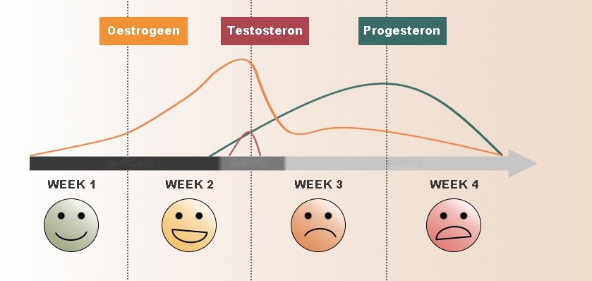 Titel van het bericht